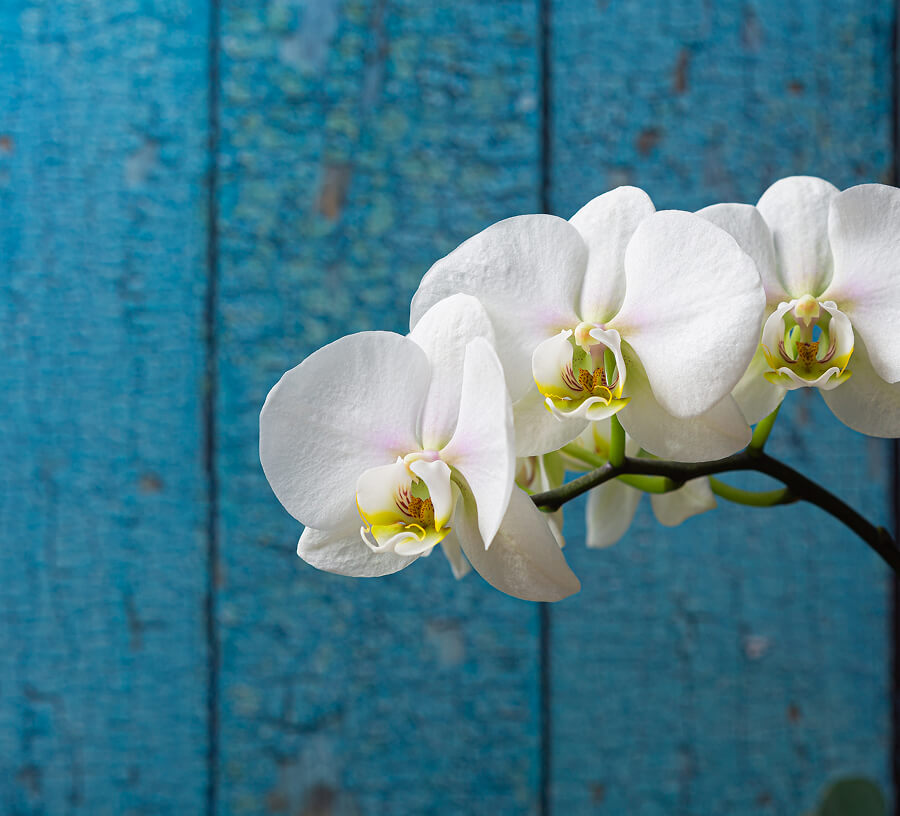 幸せを運ぶ施工会社であり続けるあららぎ